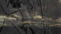 Video art / moving art, top art galleries London, Paris, Rome, New York City, Hong Kong, Athens, Geneva, Los Angeles and Miami.